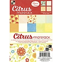 DCWV - Citrus Mat Stack 4.5X6.5